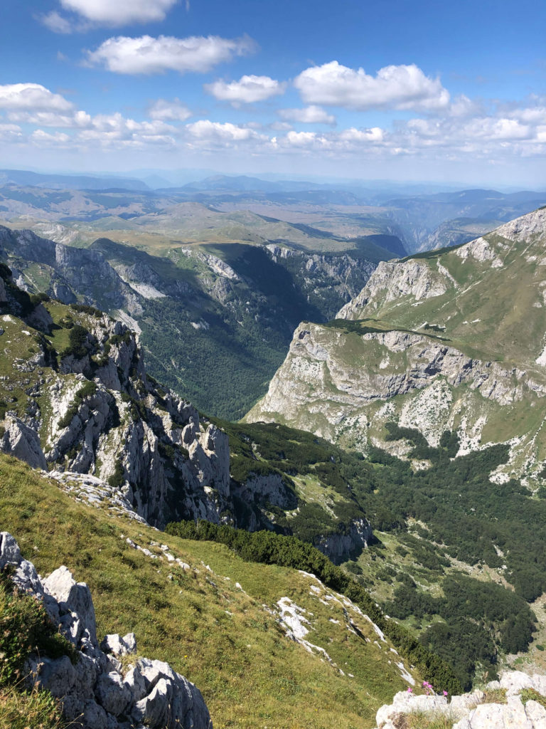 jolie vue prutas