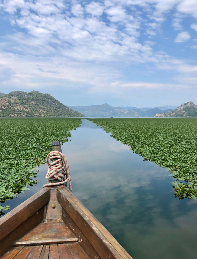 bateau sur le lac skadar