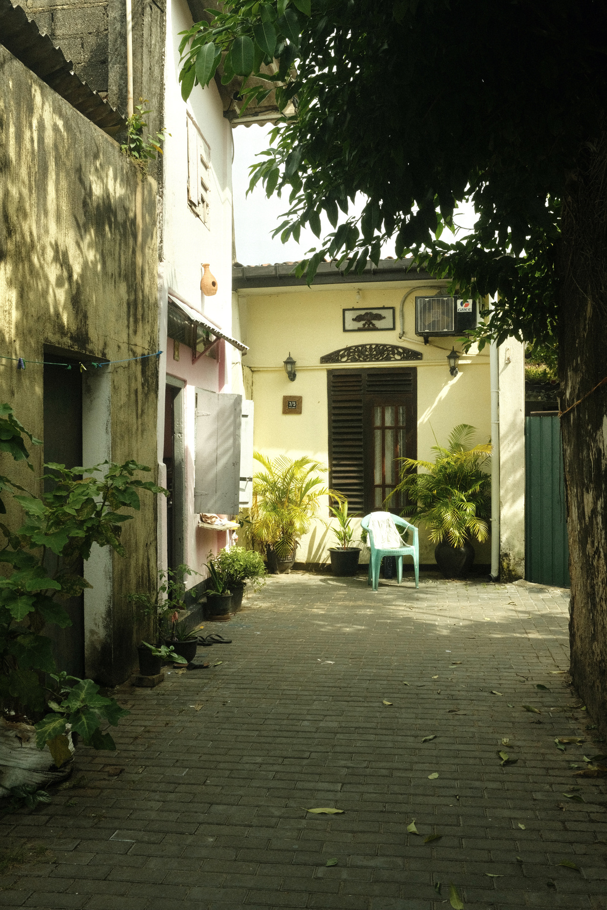 ruelle de galle