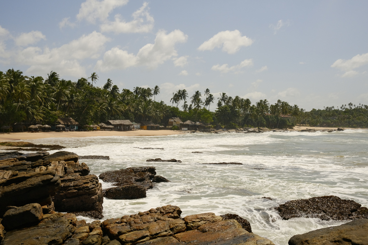 Que faire au Sri Lanka ? Les 15 activités incontournables