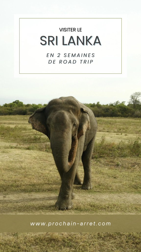 pinterest sri lanka voyage