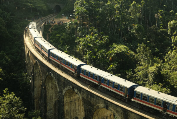 train du sri lanka sur le nine arch bridge