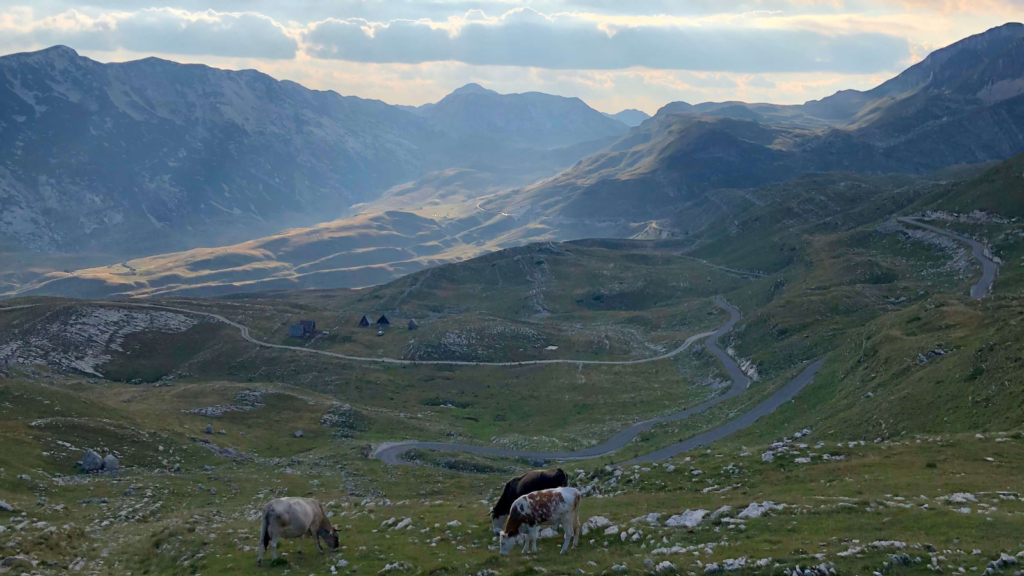 louer voiture montenegro