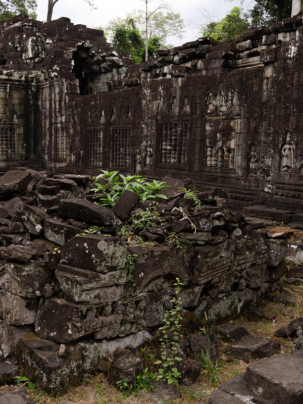 Preah Khan nature