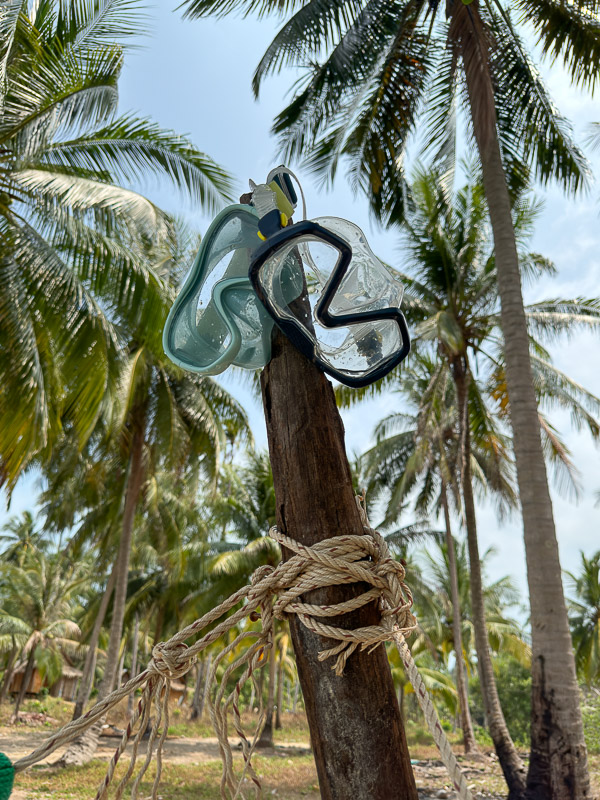 snorkelling