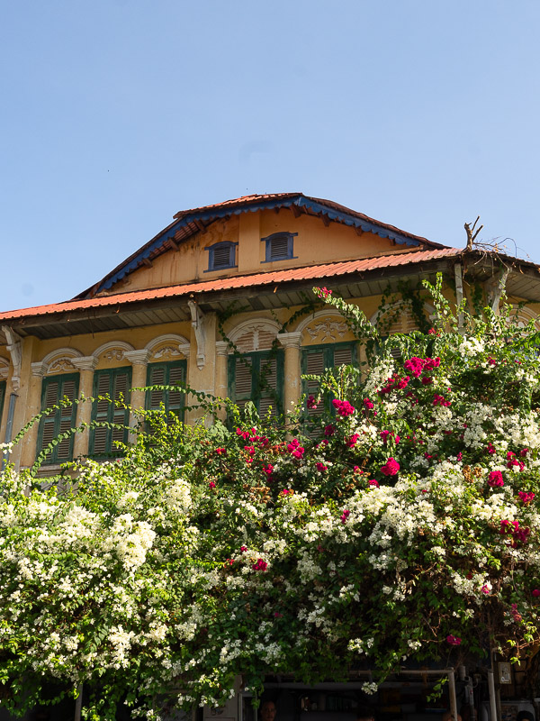 Kampot centre ville fleurs