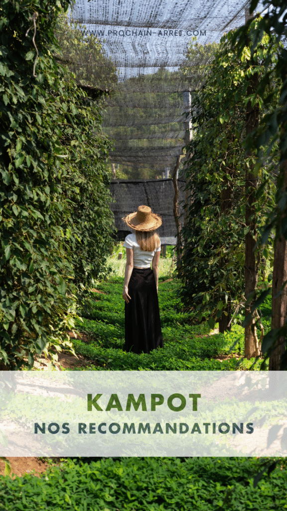 pinterest que faire kampot