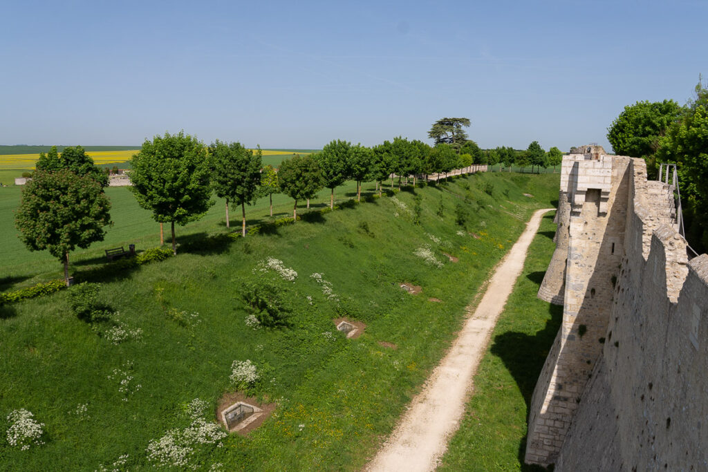 Provins remparts