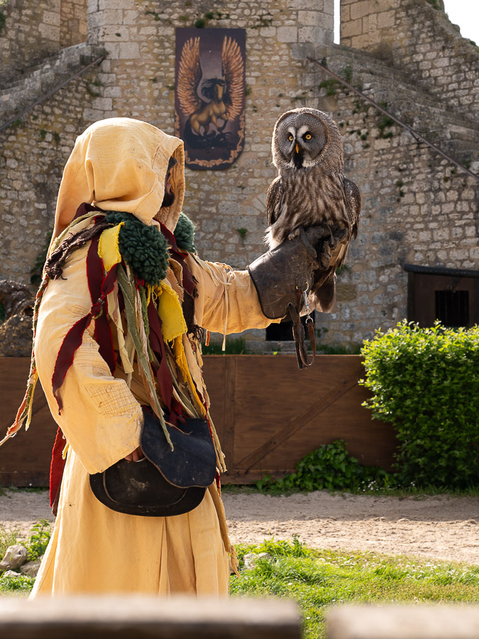Provins spectacle les aigles des remparts
