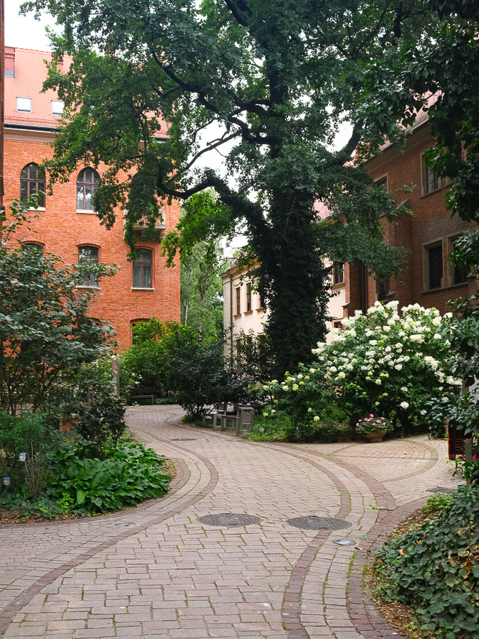 jardins du collegium maius