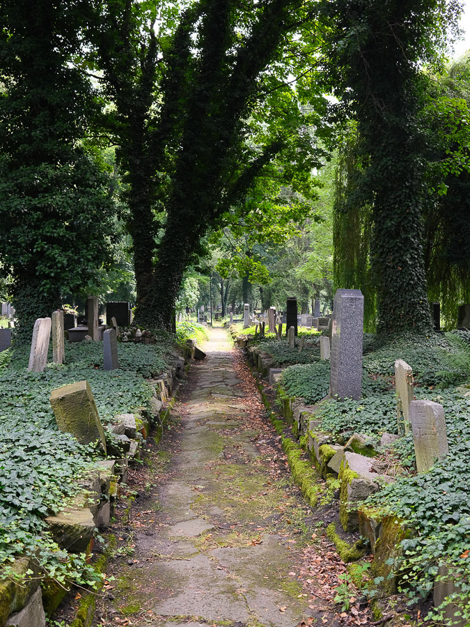vieux cimetiere juif de cracovie podgorze