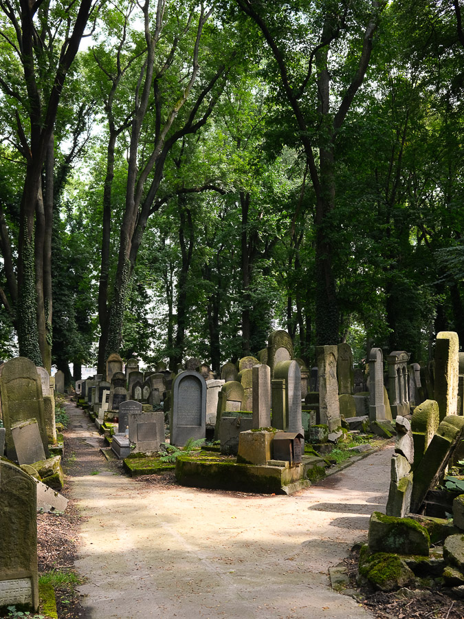 vieux cimetiere juif de cracovie