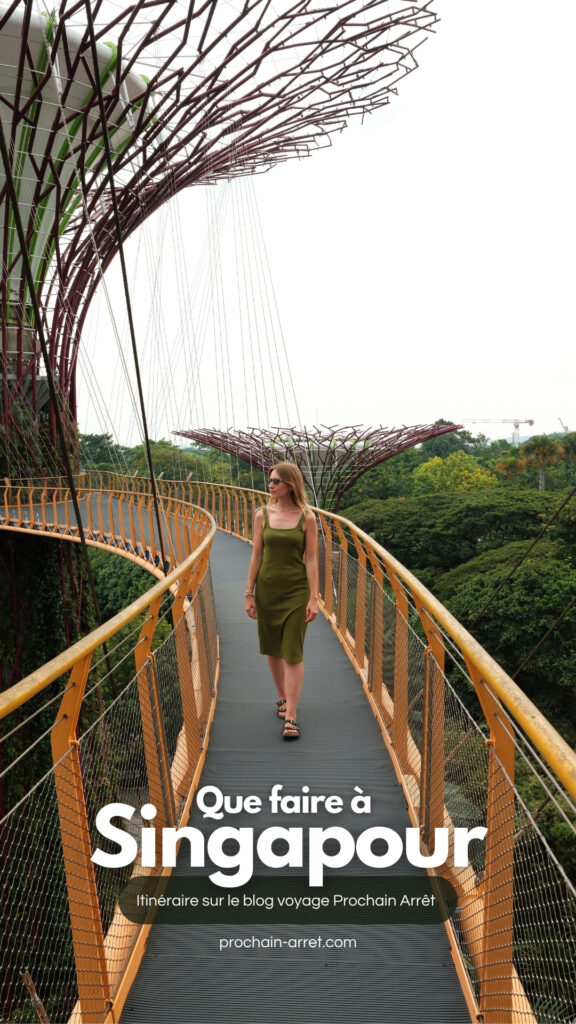 pinterest que faire à singapour