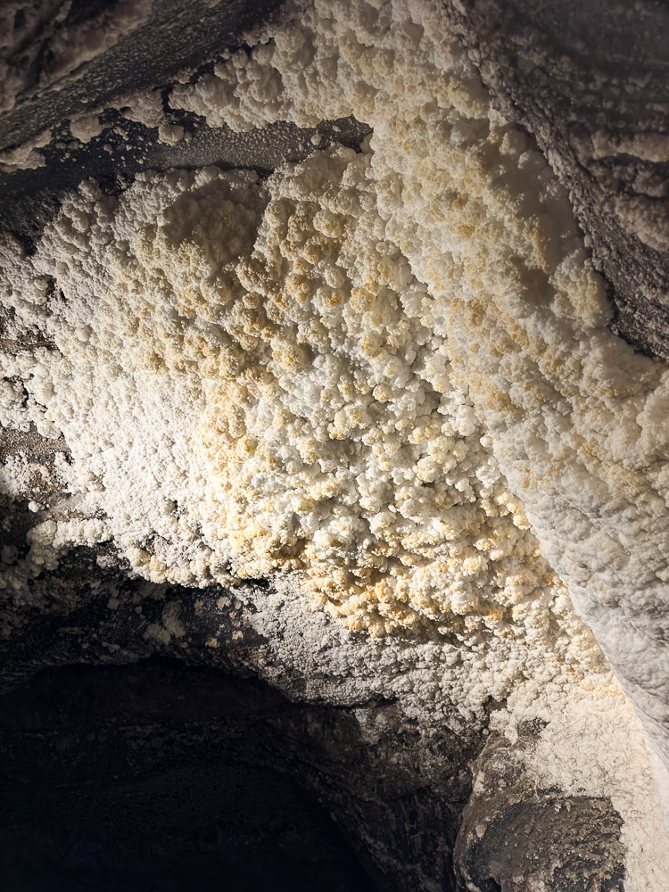 Mine de sel Cracovie