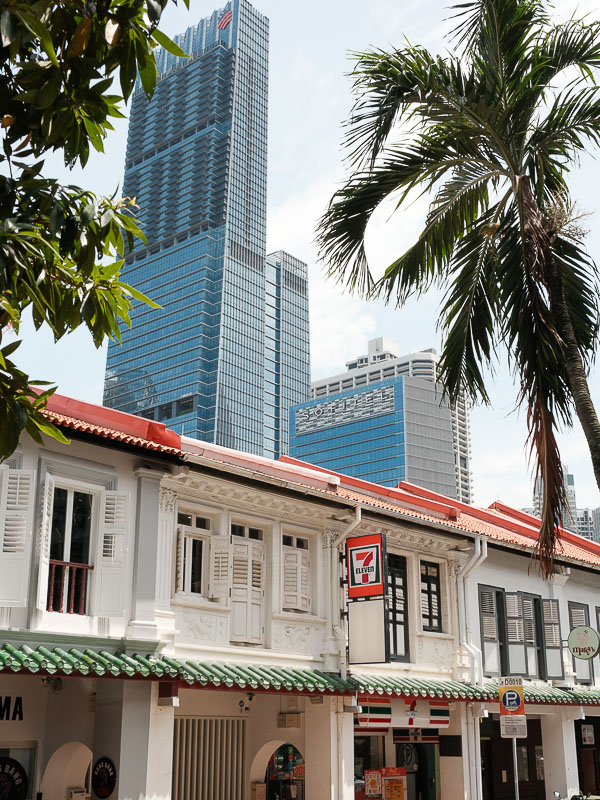 Singapour chinatown duxton hill rue