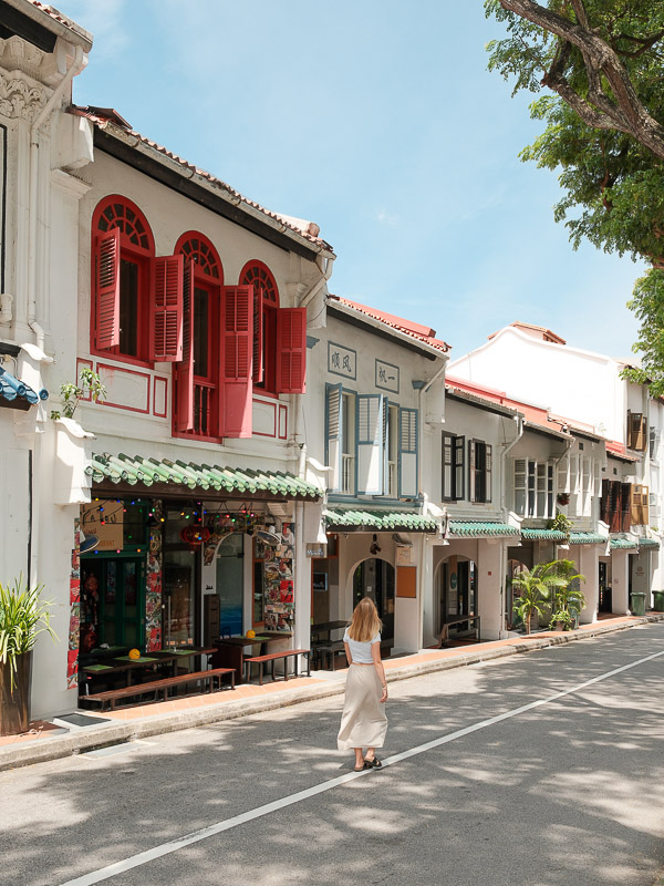Singapour chinatown duxton hill ruelle
