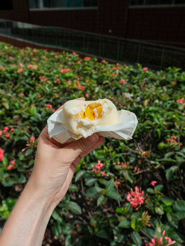 Singapour chinatown snowball mochi