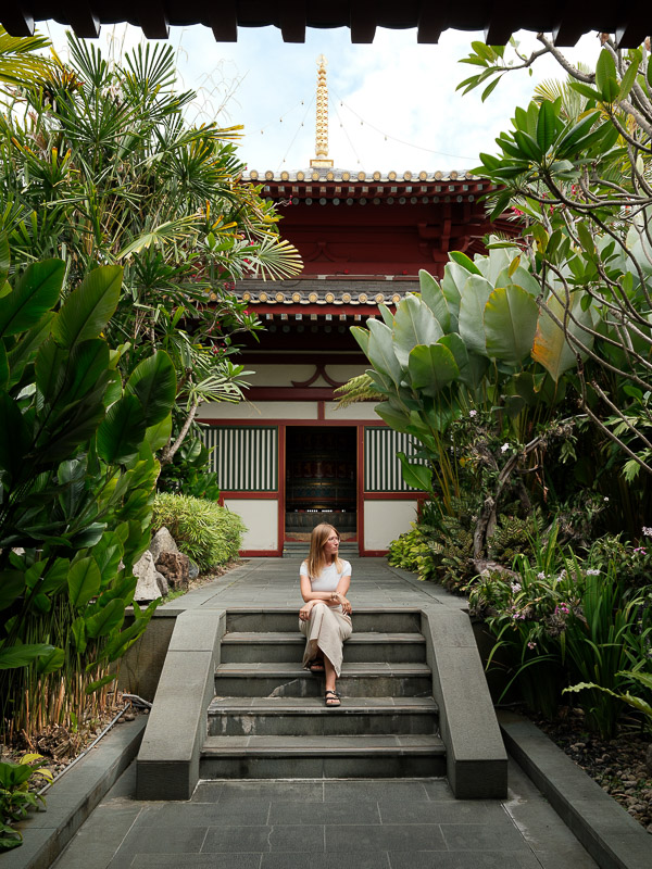 Singapour chinatown temple dent toit