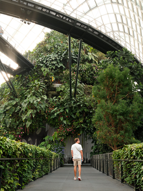 Singapour cloud forest balade