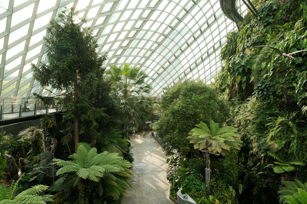 Singapour cloud forest passerelle