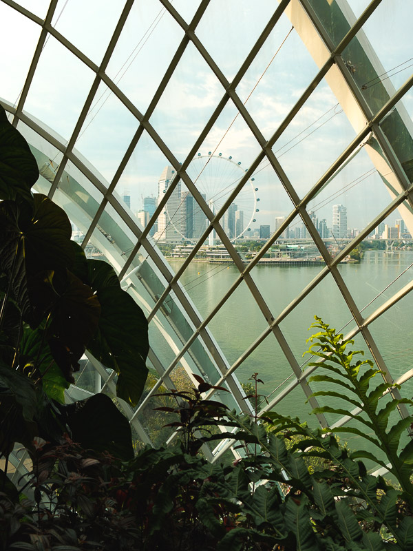 Singapour cloud forest vue