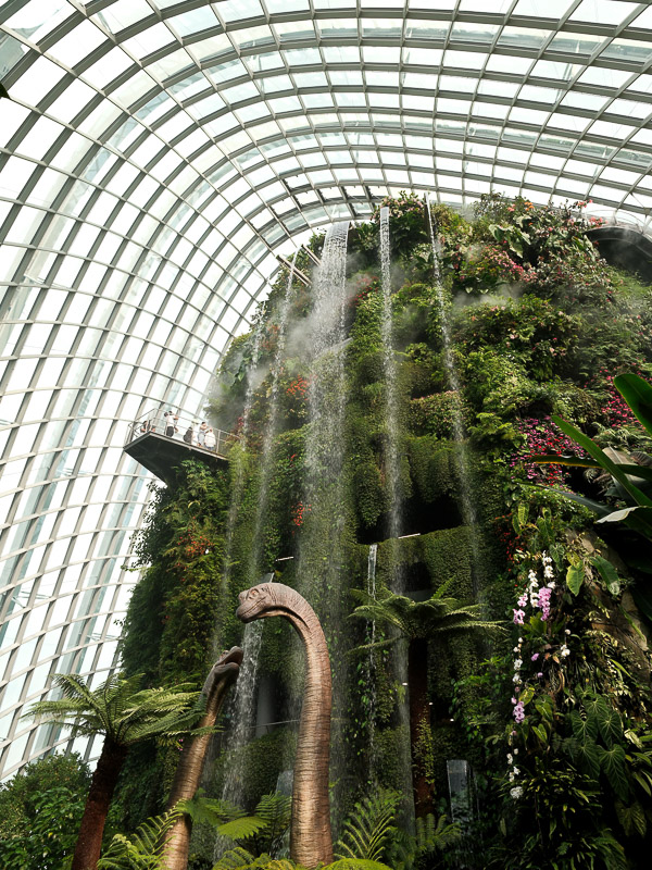 Singapour cloud forest
