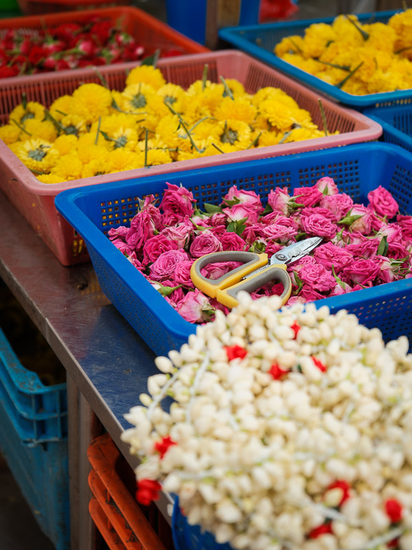 Singapour fleurs little india