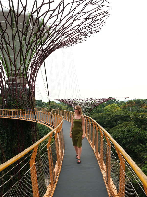 Singapour garden by the bay ocbc skywalk