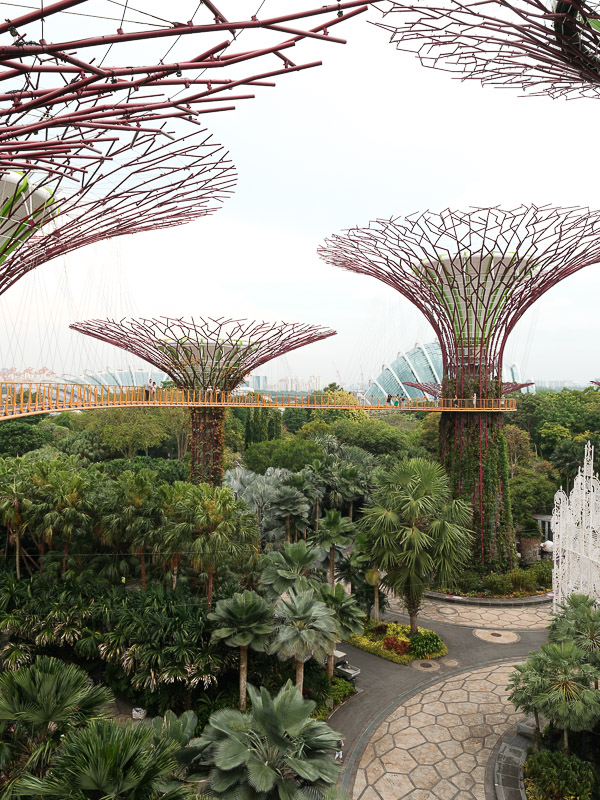 Singapour garden by the bay supertrees