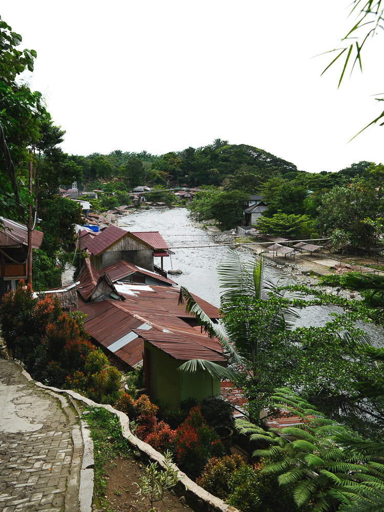 vue bukit lawang