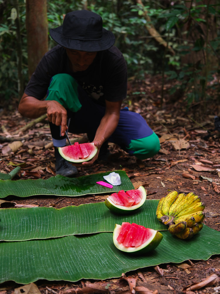 fruits dans la jungle de Sumatra