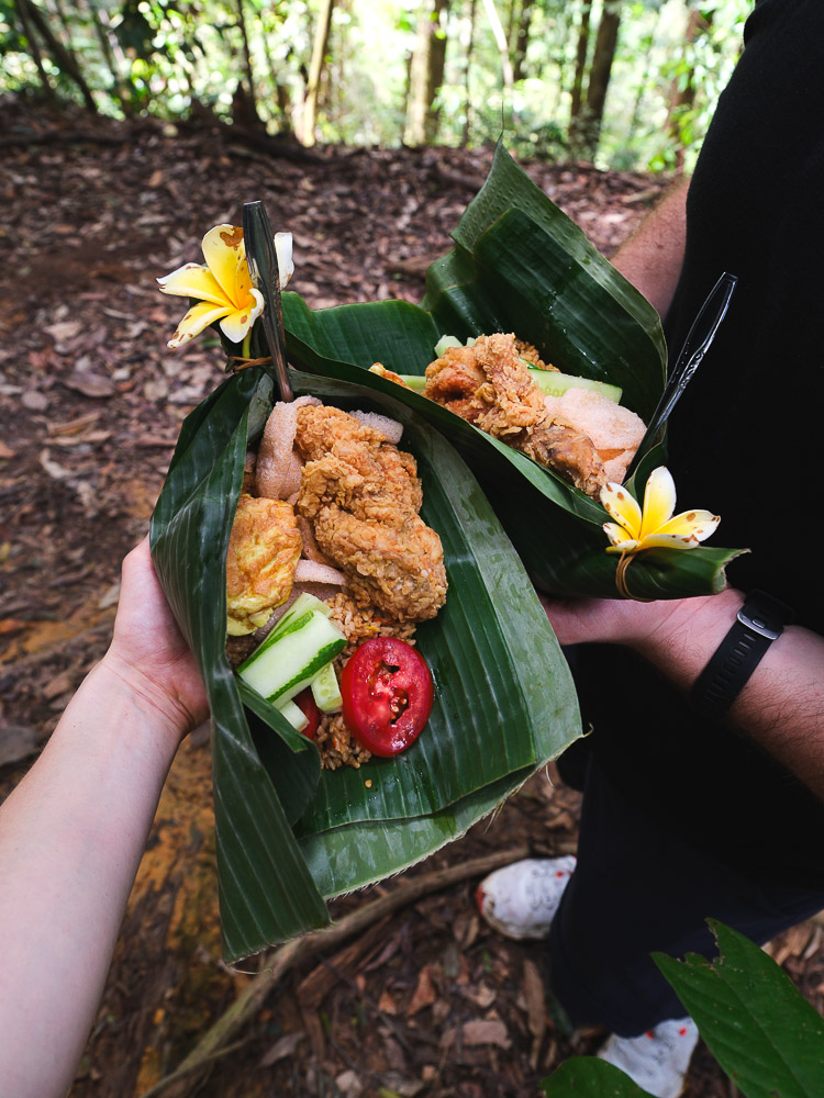 nasi goreng dans la jungle