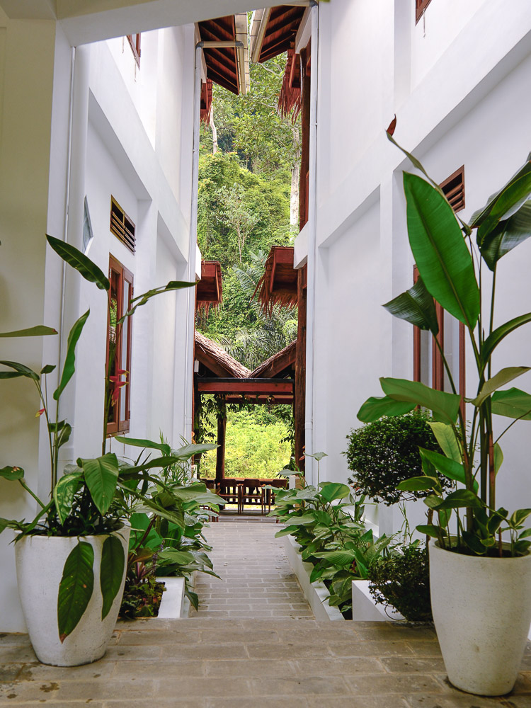 logement sumatra bukit lawang