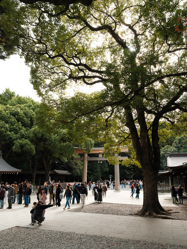 meiji jingu et son parc