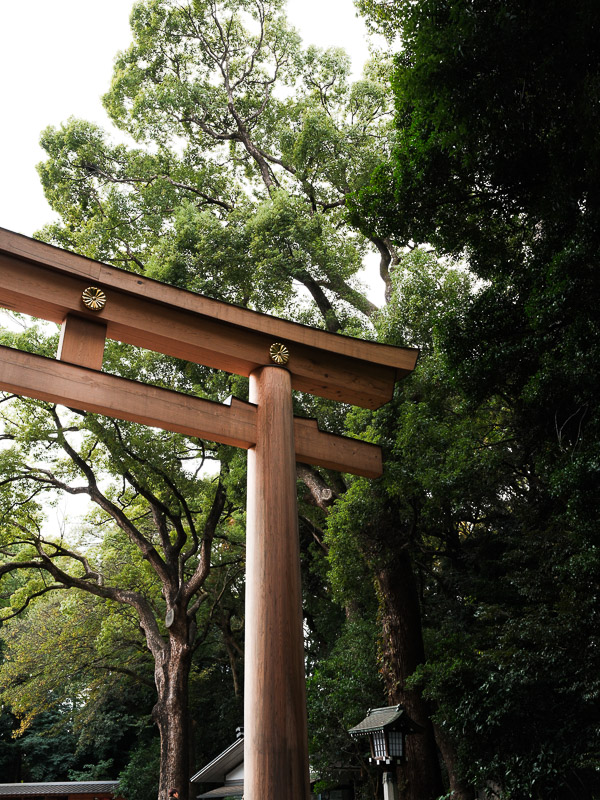 torii en bois de meiji jingu
