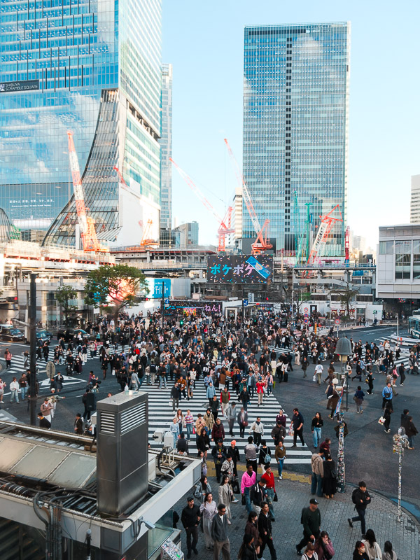 vue sur le Shibuya Crossing