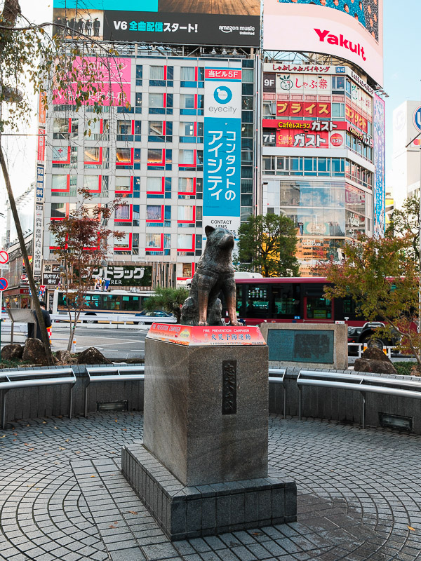 Statue de Hachiko à Shibuya