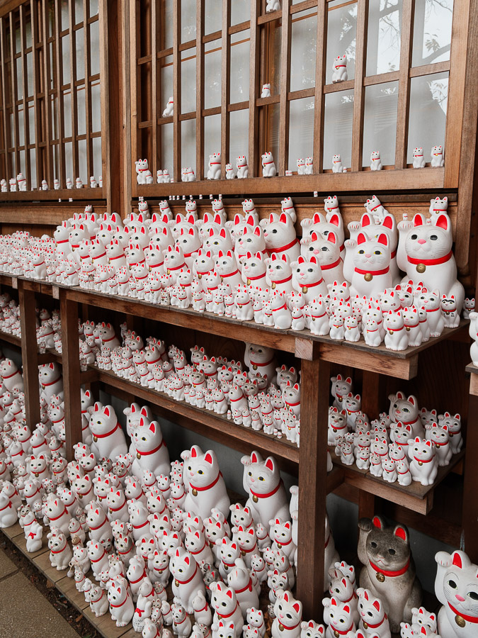 les chats de Gotokuji