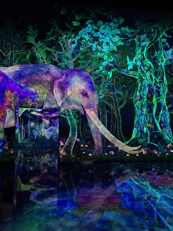 TeamLab Planets détail