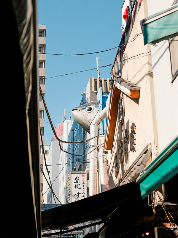 Poisson du marché de tsukiji