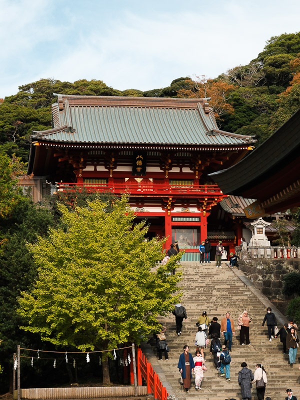 Porte du temple de Tsurugaoka Hachiman-gū