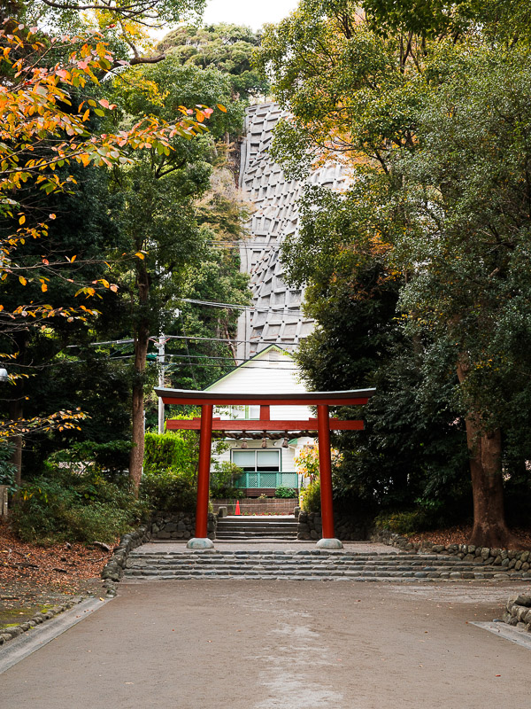 Torii du temple de Tsurugaoka Hachiman-gū