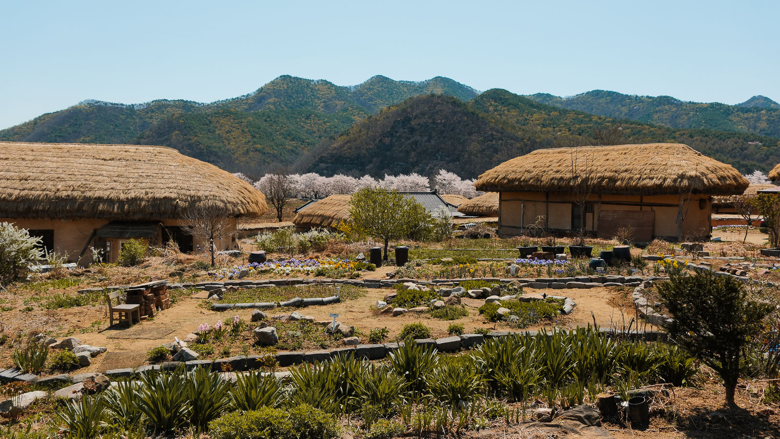 Visiter Andong et le village folklorique de Hahoe : le guide complet