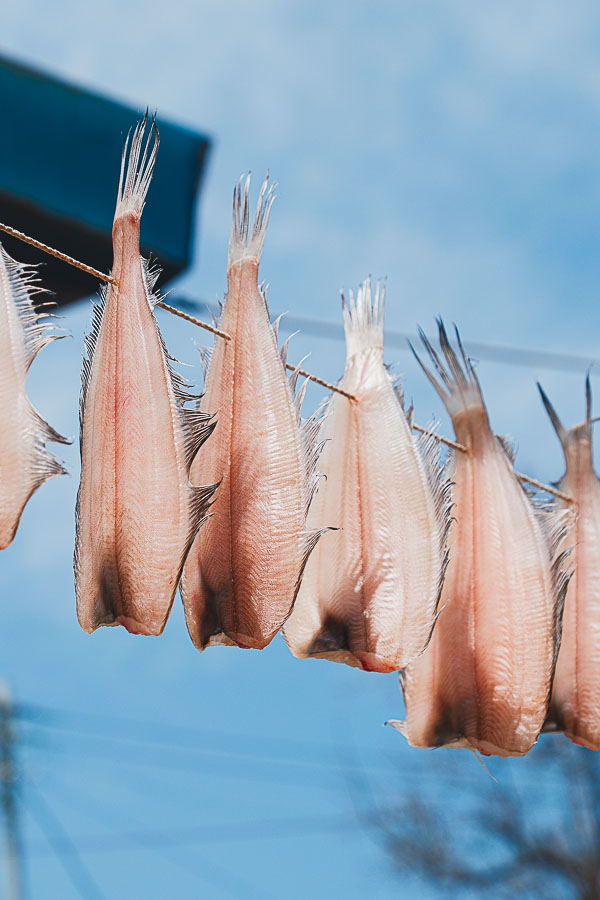 Poisson de Sokcho