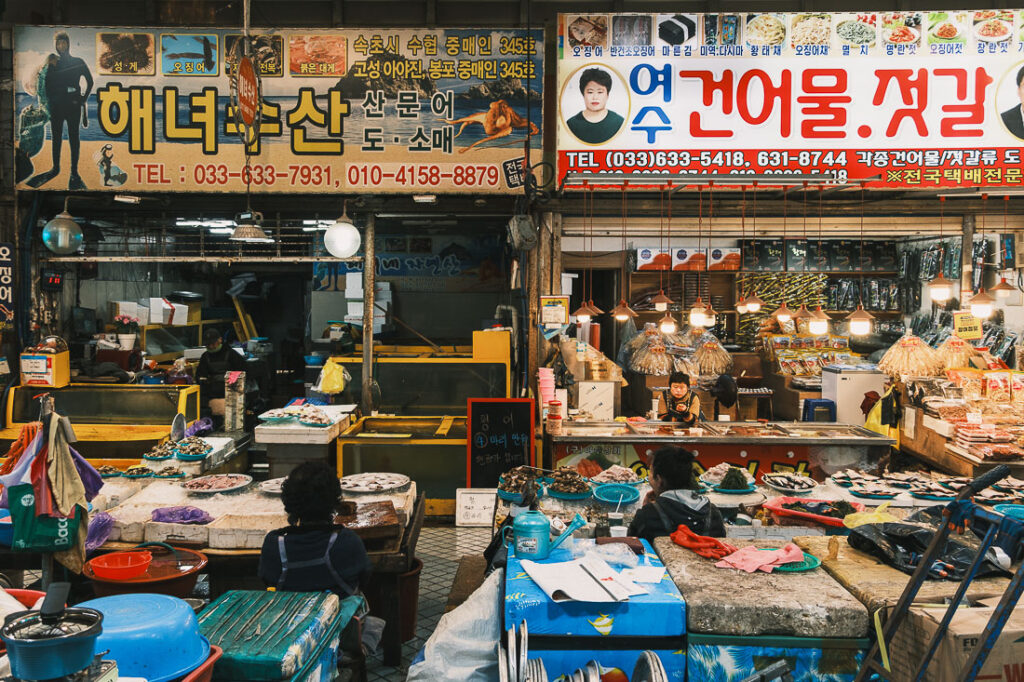 Marché au poisson de Sokcho