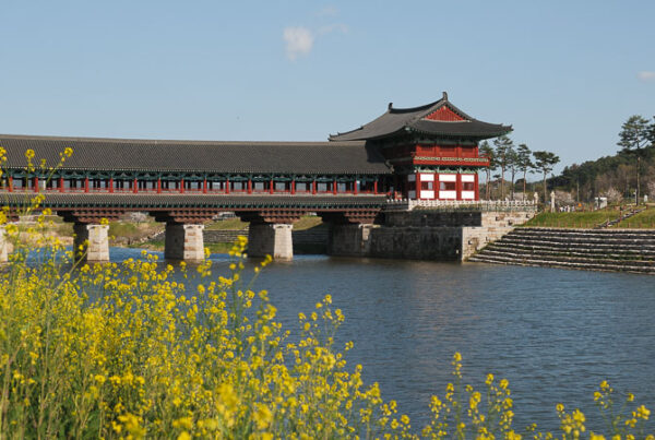 article gyeongju