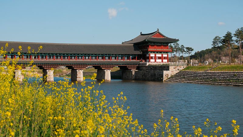article gyeongju