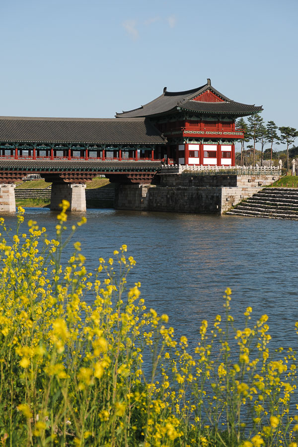 Pont Woljeonggyo