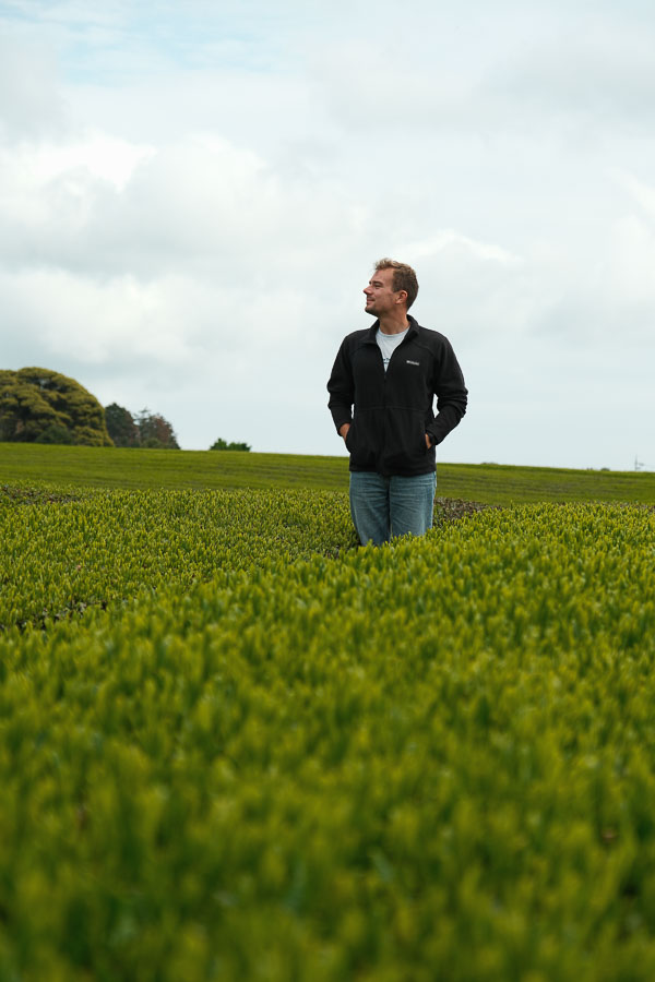 PL dans les plantations de thé de Osulloc