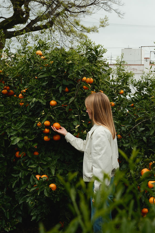Julie qui cueille une mandarine hallabong à la bong bong tangerine farm de jeju